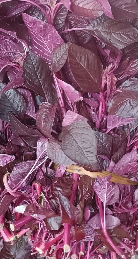 250 gm लाल चौलाई के पत्ते (Red Amaranth leaves)