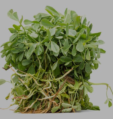 500 gm मेथी साग (Methi saag-Fenugreek leaves)