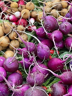 500 gm शलजम (Rutabaga Shaljam)