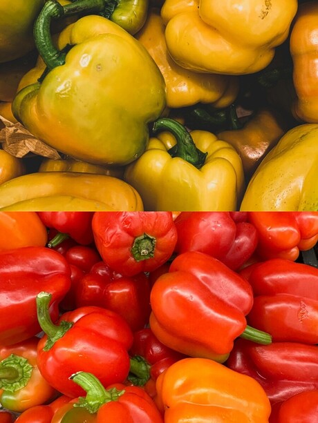 2+2 Pc Red + Yellow Capsicum (शिमला मिर्च)